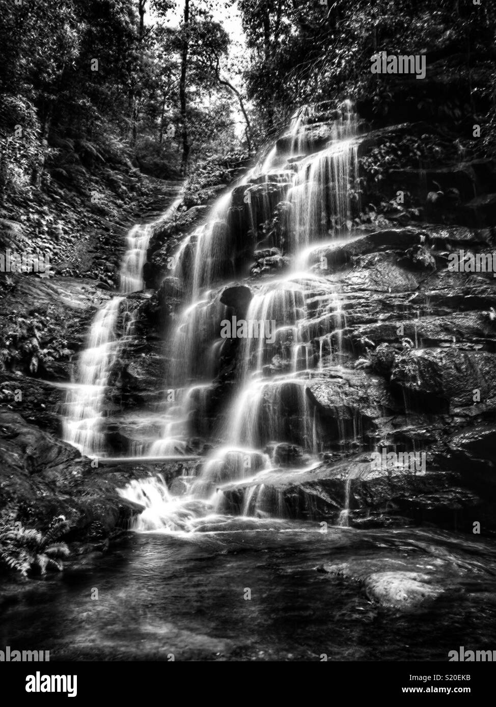 Sylvia fällt, Tal der Gewässer Track, Blue Mountains National Park, NSW, Australien Stockfoto