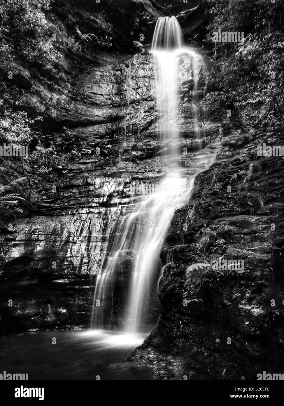 Kaiserin fällt, Tal der Gewässer Track, Blue Mountains National Park, NSW, Australien Stockfoto