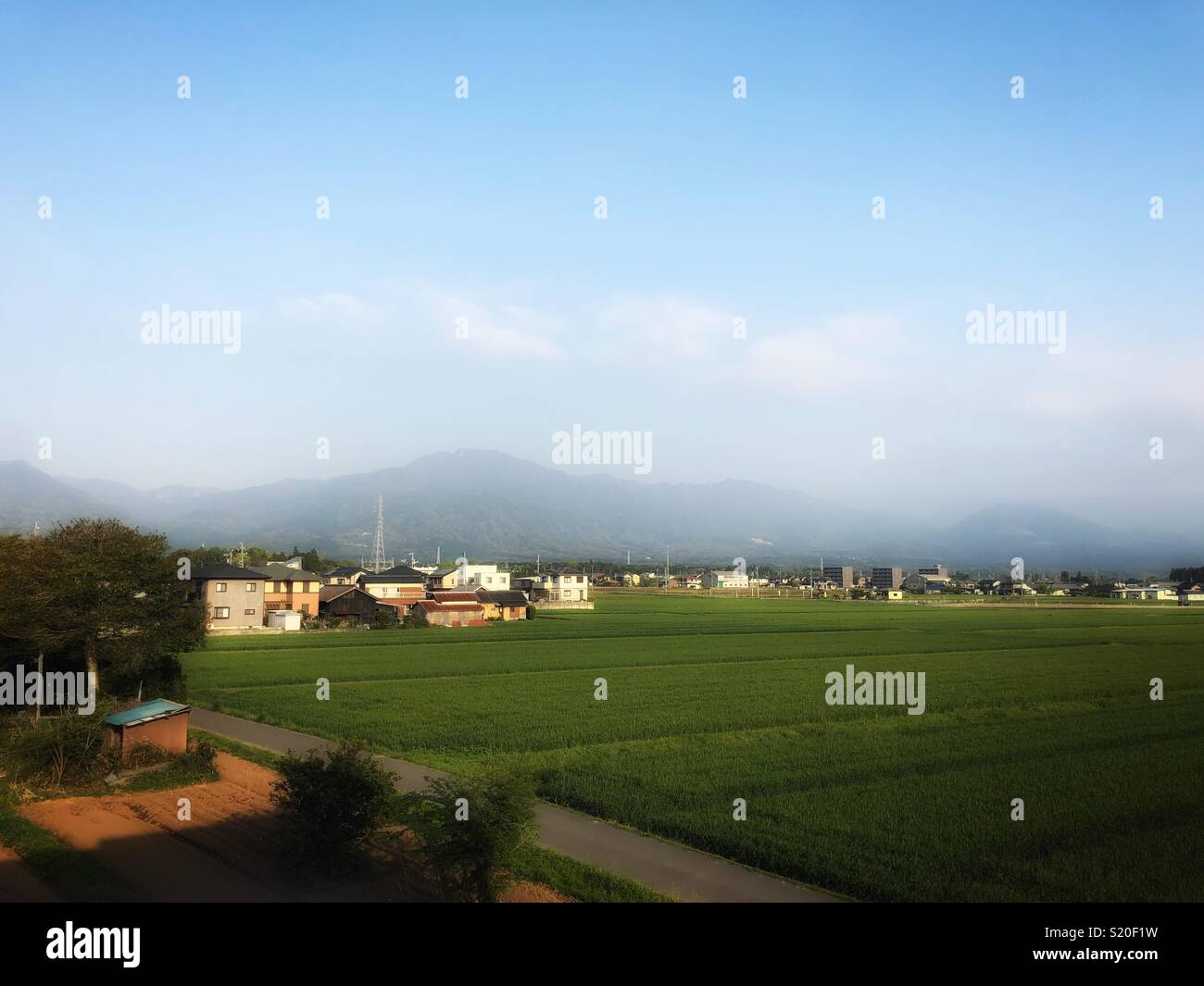 Reis Plantage und die Berge in Japan Stockfoto