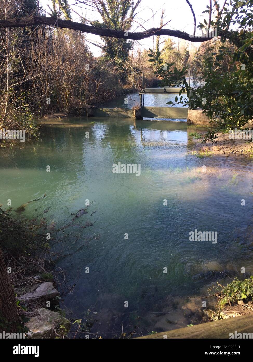 Sperre auf Timavo Fluss, Duino (Triest), Italien. Stockfoto