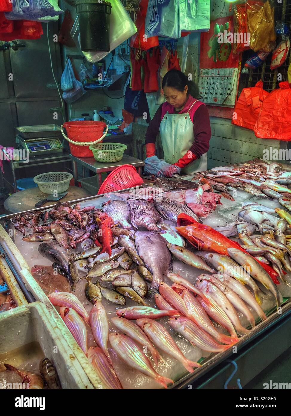 Fisch, der für den Verkauf in einem "Wet Market" in Yuen Long, New Territories, Hong Kong Stockfoto