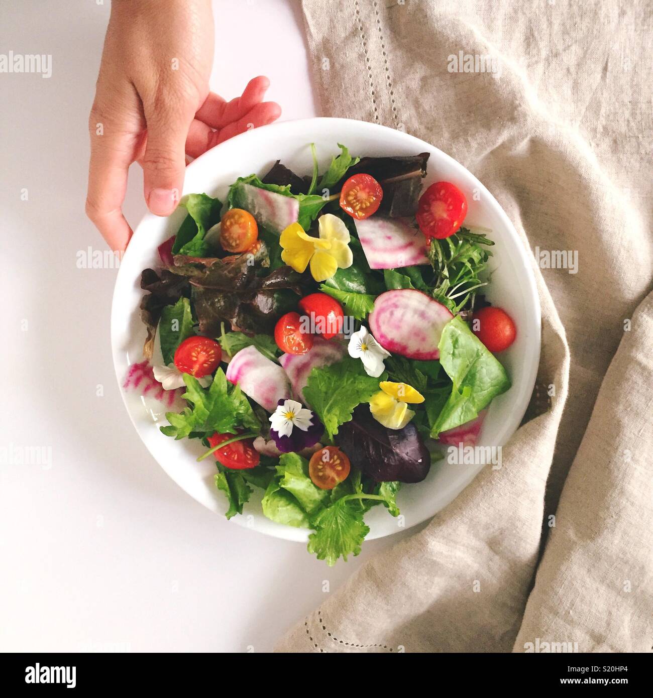 Organische Blume Salat. Essbare Blüten in einem Salat Farbe und Textur auf eine langweilige Salat geben. Ein Fest für die Augen als auch Ihren Magen. Die Grüns und Blumen Essen. Wunderbare vegetarische Mahlzeit. Stockfoto