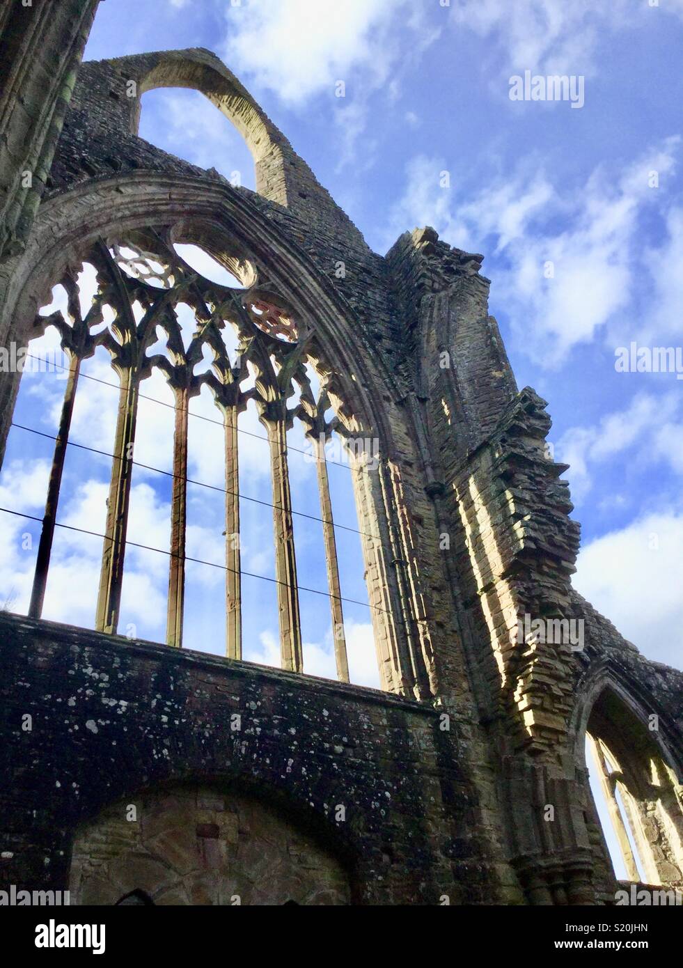 Tintern Abbey Maßwerk Fenster Stockfoto