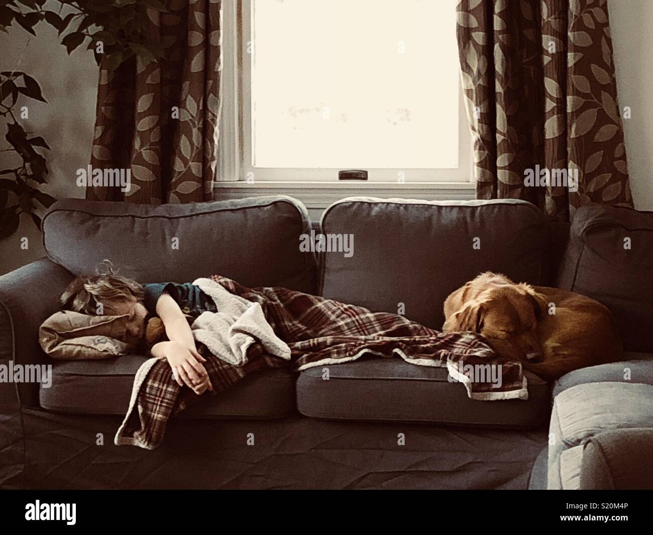 Junge und sein Hund napping Stockfoto