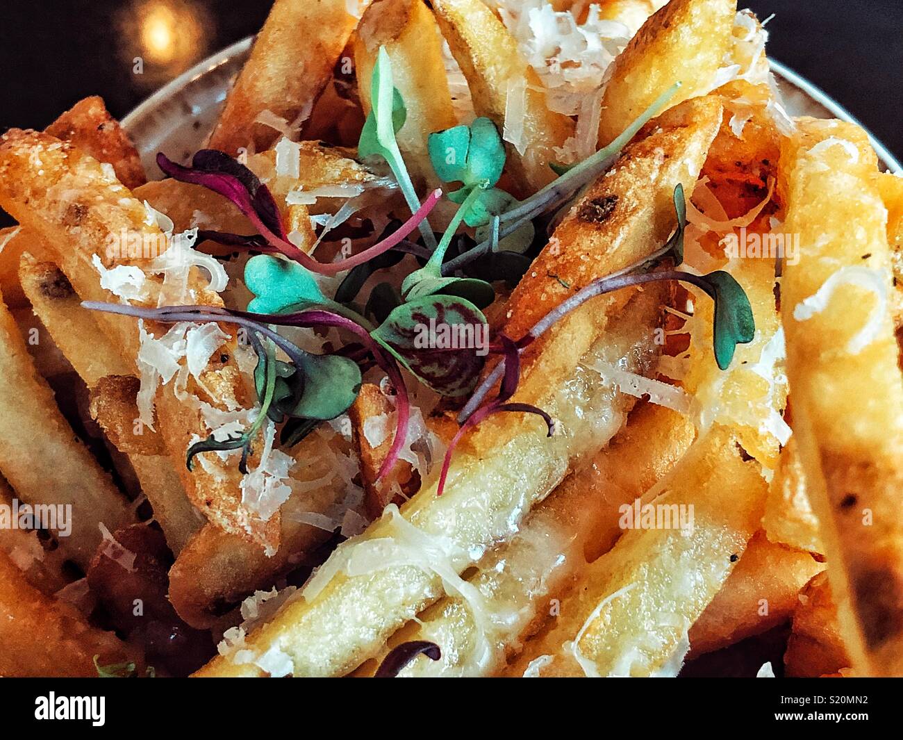 Fancy Trüffelöl Kartoffel Pommes Frites Stockfoto