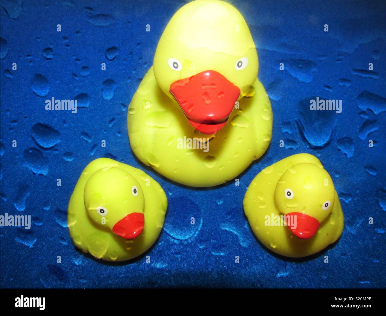 Rubber Duck Familie Stockfoto