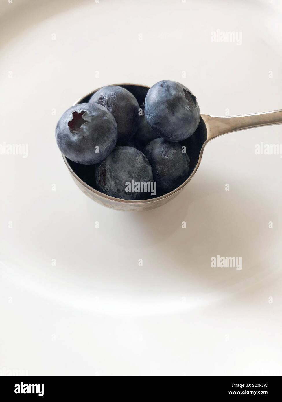 Esslöffel Blaubeeren Stockfoto