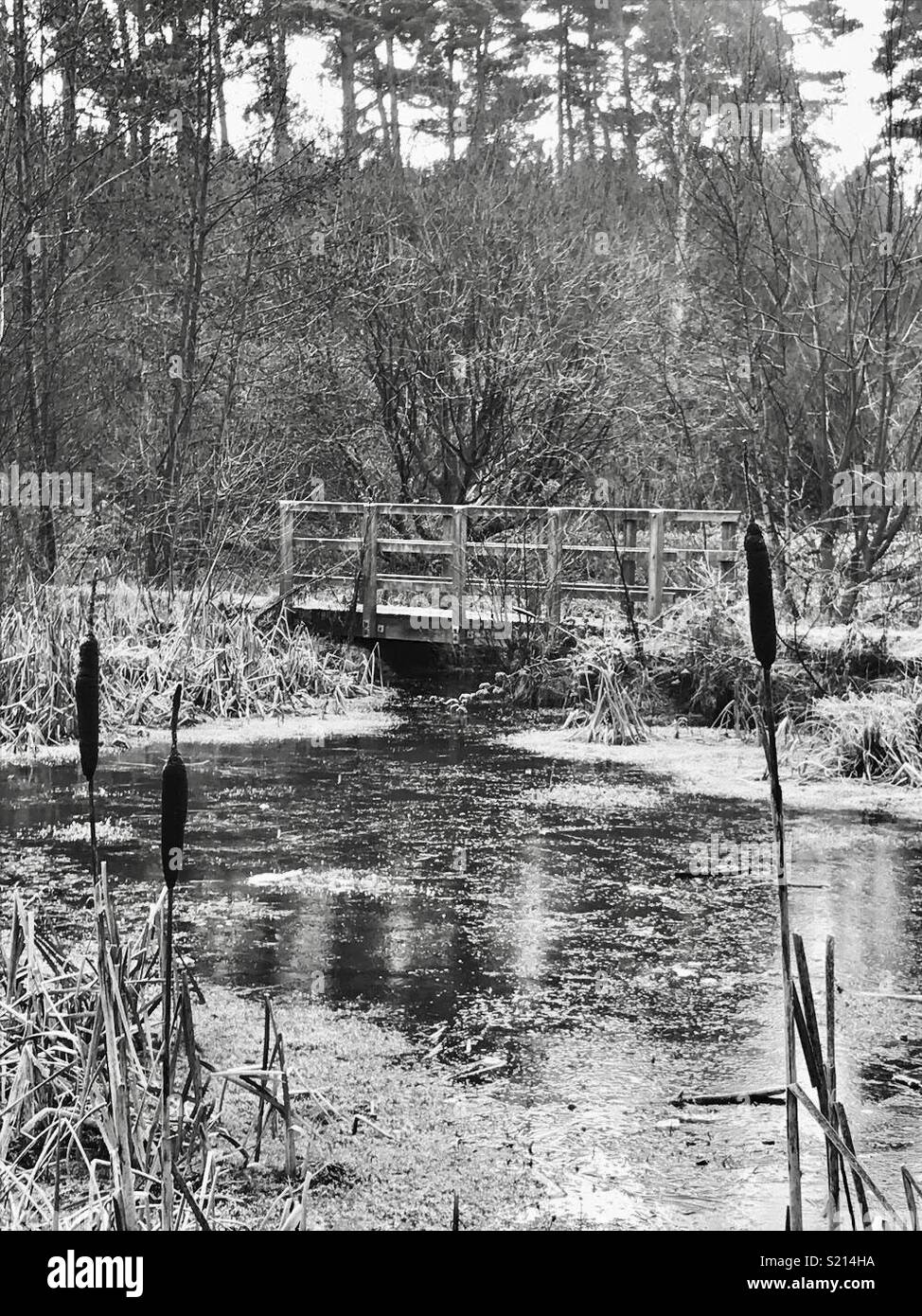 Schwarz-weiß Foto von Teich oder Fluss mit Brücke Stockfoto