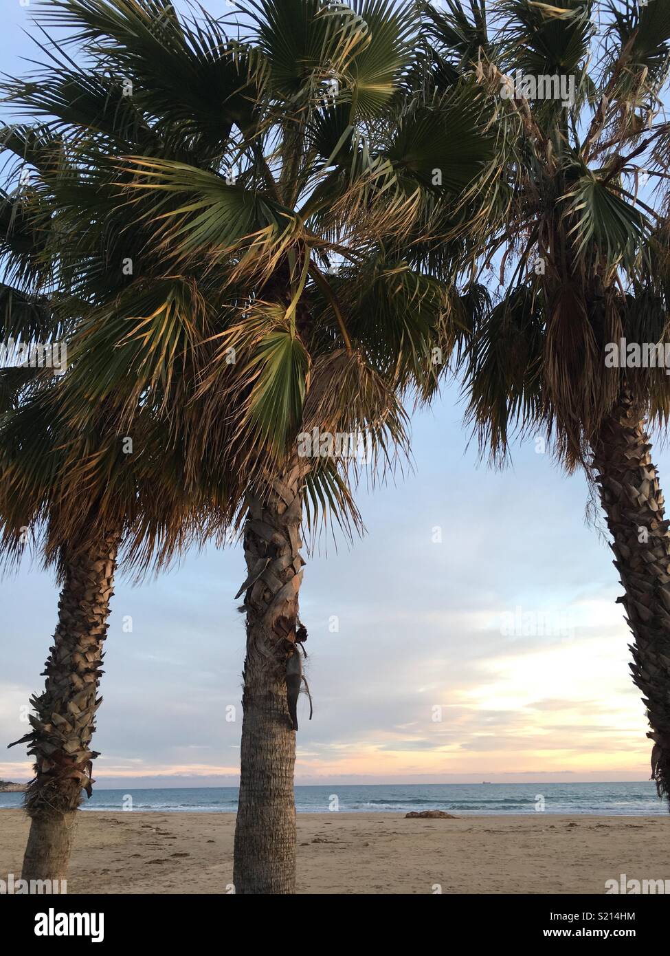 Frühjahr Sonnenuntergang am Strand Stockfoto