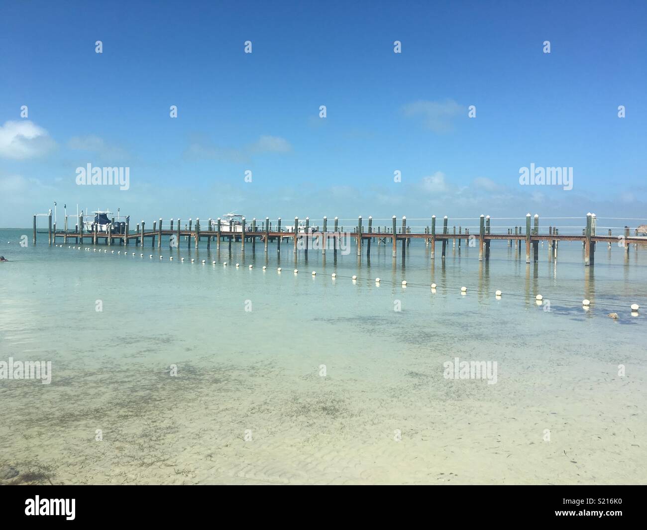 Einem Pier in Key Largo Stockfoto