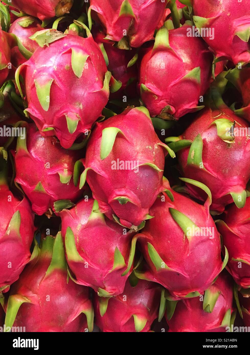 Pitaya oder Dragon Obst Stockfoto