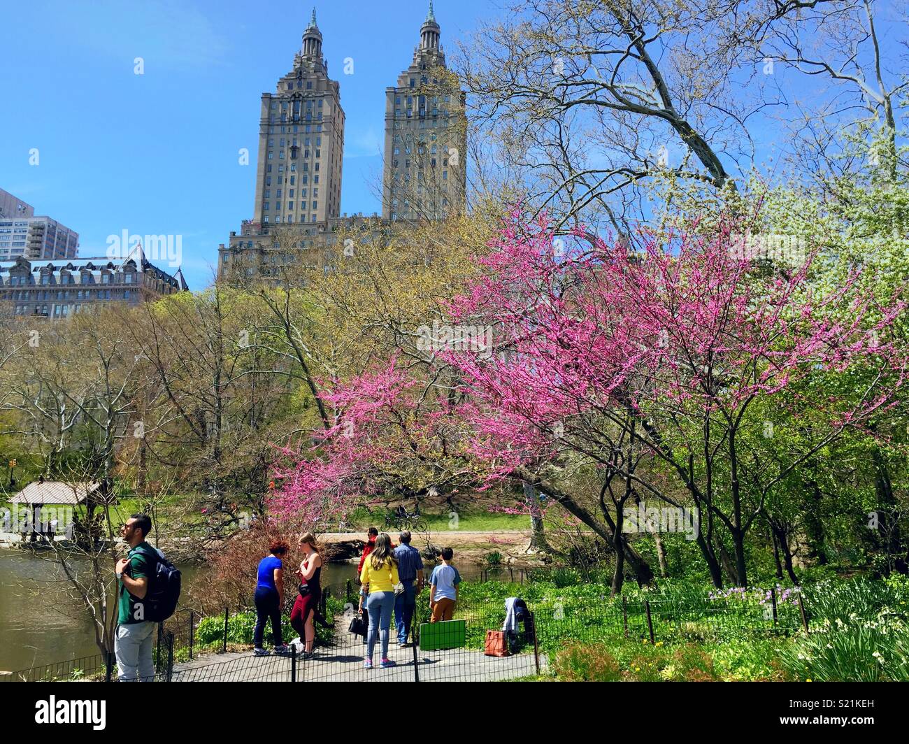 Touristische Herde zu Central Park im Frühling die blühenden Bäume mit dem San Remo Wohntürme im Hintergrund am Central Park West, NEW YORK CITY, USA anzeigen Stockfoto