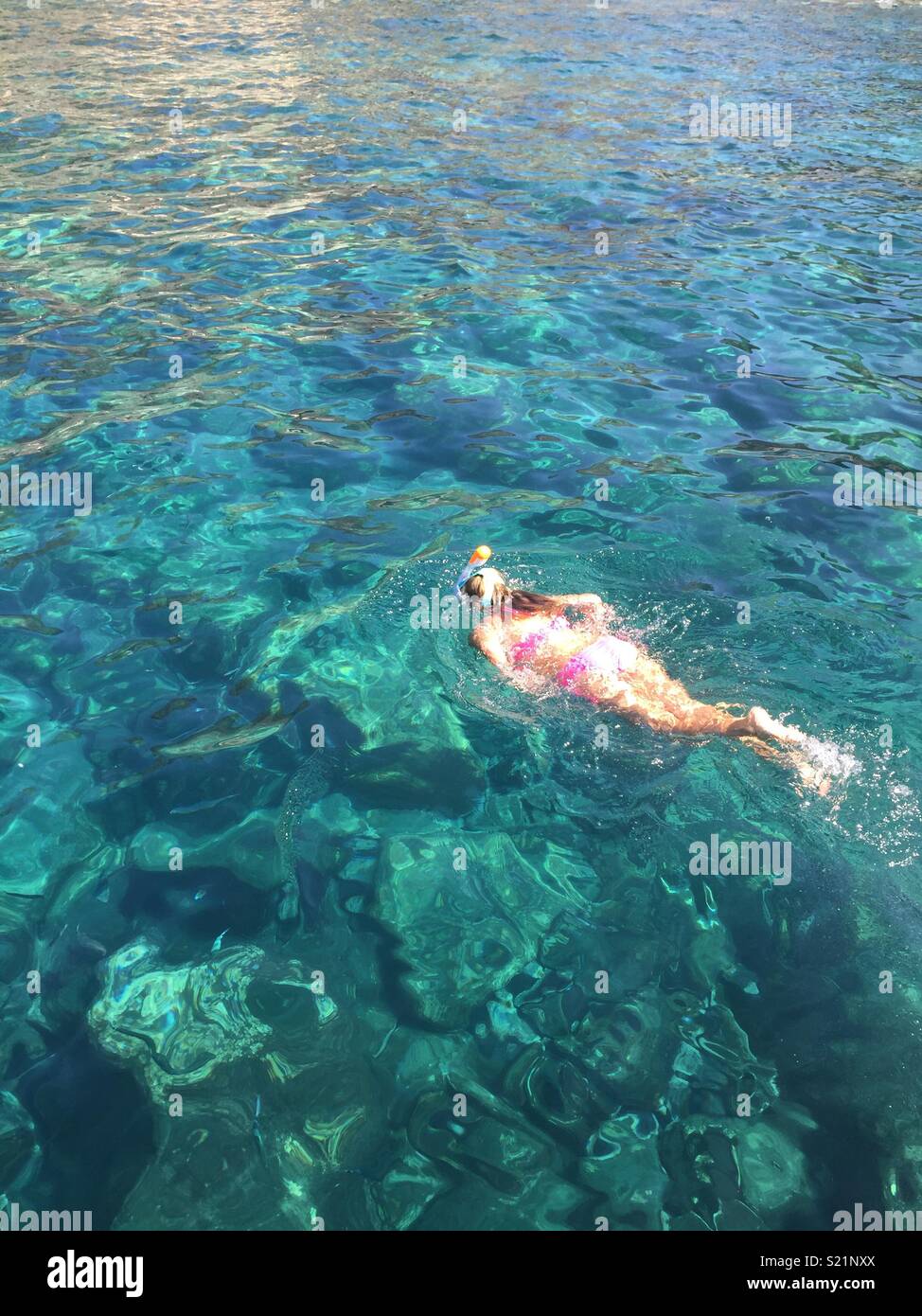 Leben im Meer Stockfoto