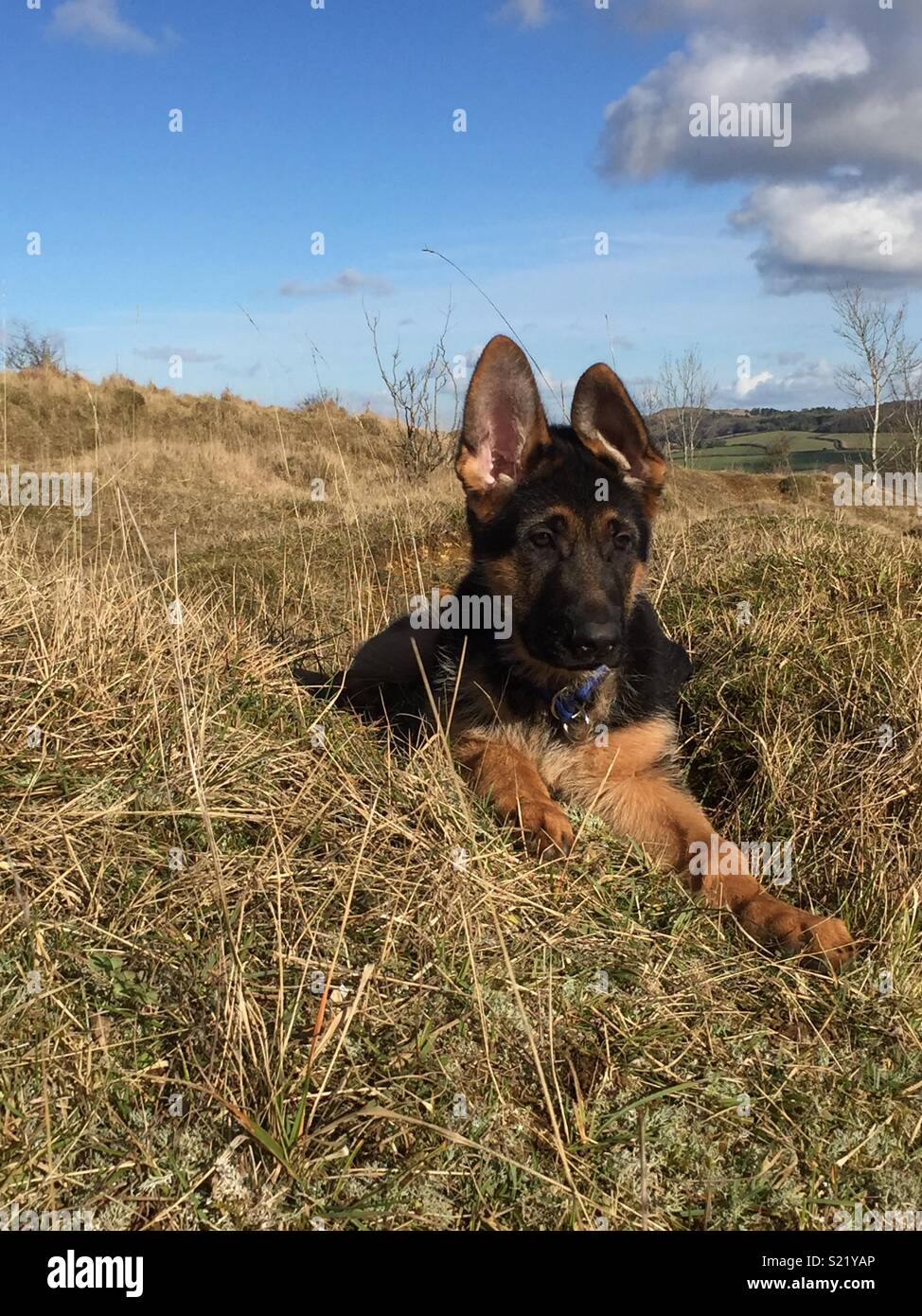 Ich lebe bis zu meinem Namen! Stockfoto