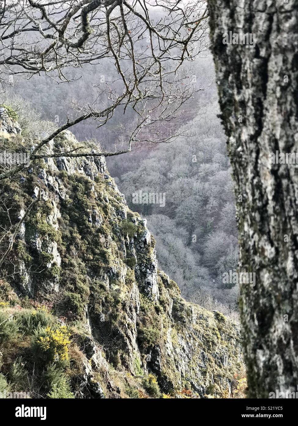 Ein winterspaziergang in der Landschaft von Devon Stockfoto