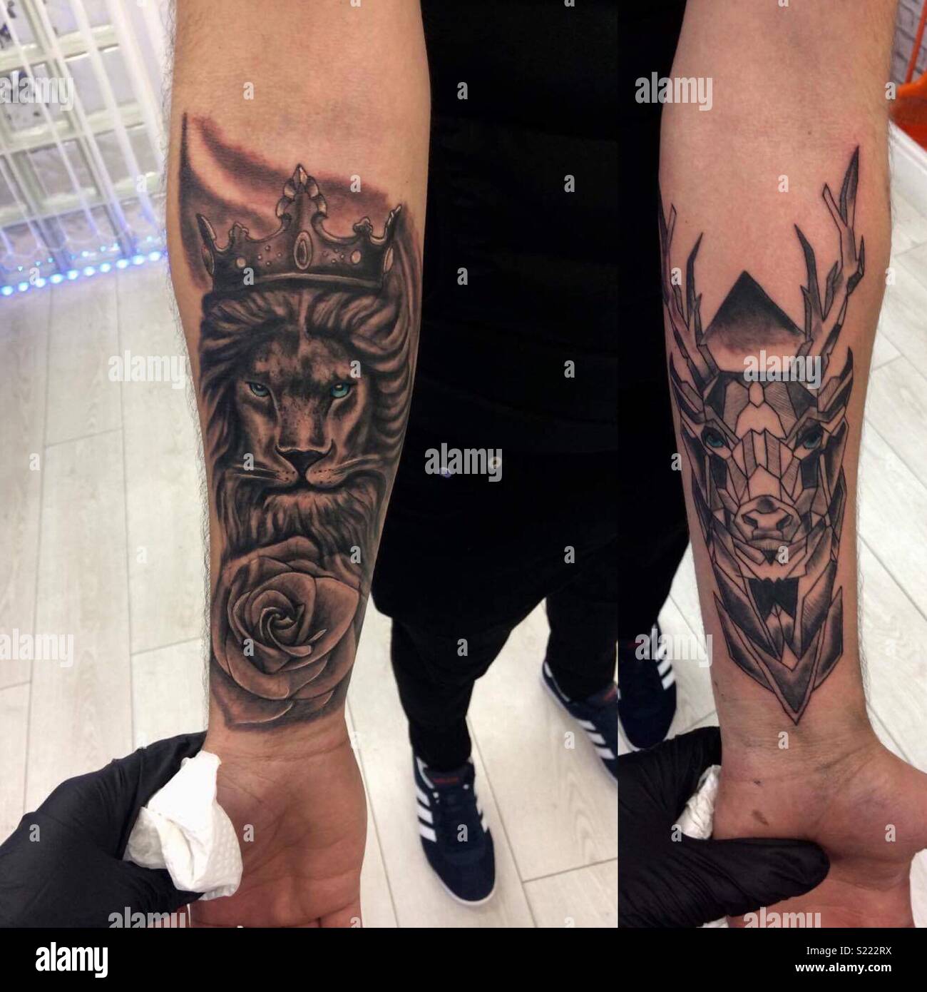 Lowe Mit Blauen Augen Tattoo
