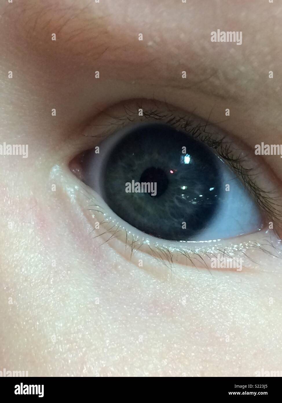 Baby auge Fotos und Bildmaterial in hoher Auflösung Alamy