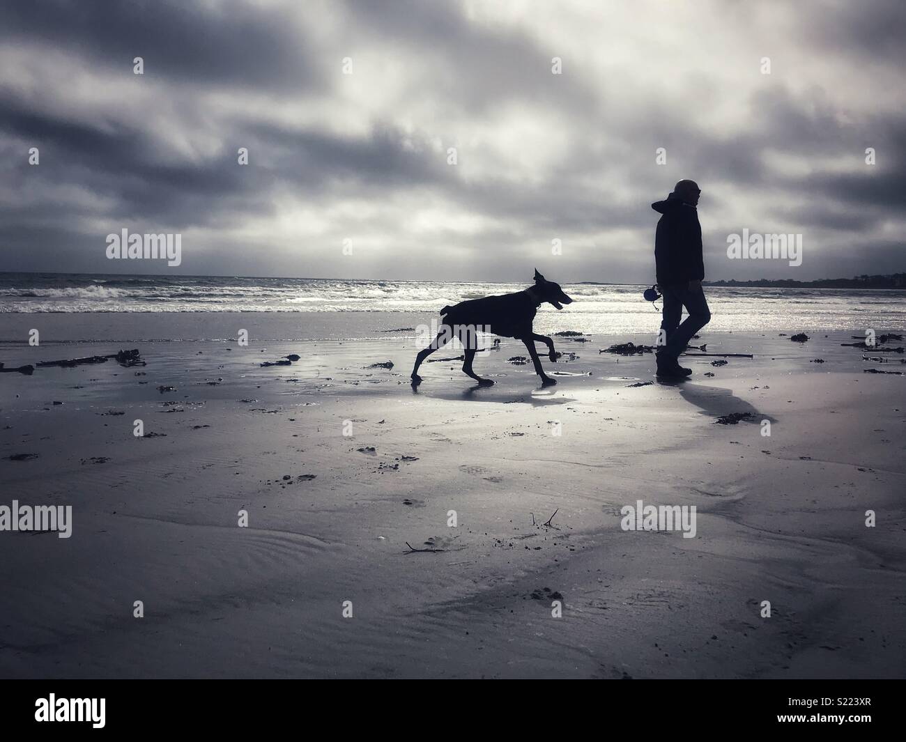 Spaziergang mit dem Hund am Strand entlang. Stockfoto