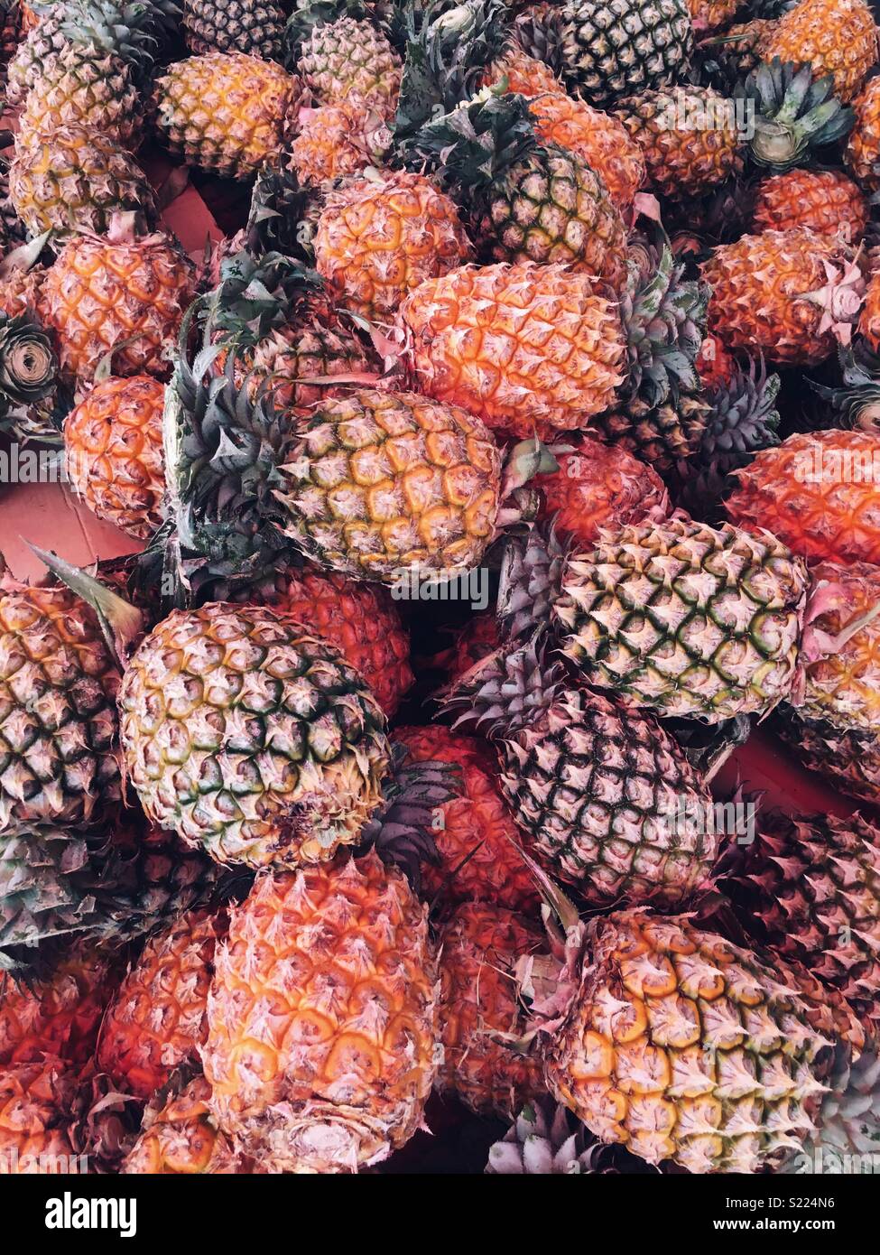 Ananas auf dem Markt Stockfoto