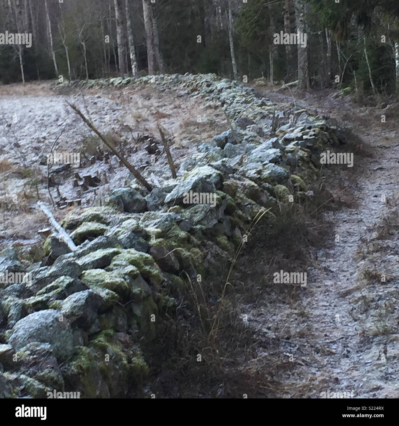 Alte Steinmauer - Smartphone-aufgenommenes Stockfoto