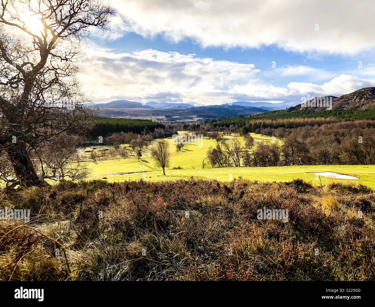 Winter Tag in den Highlands Stockfoto