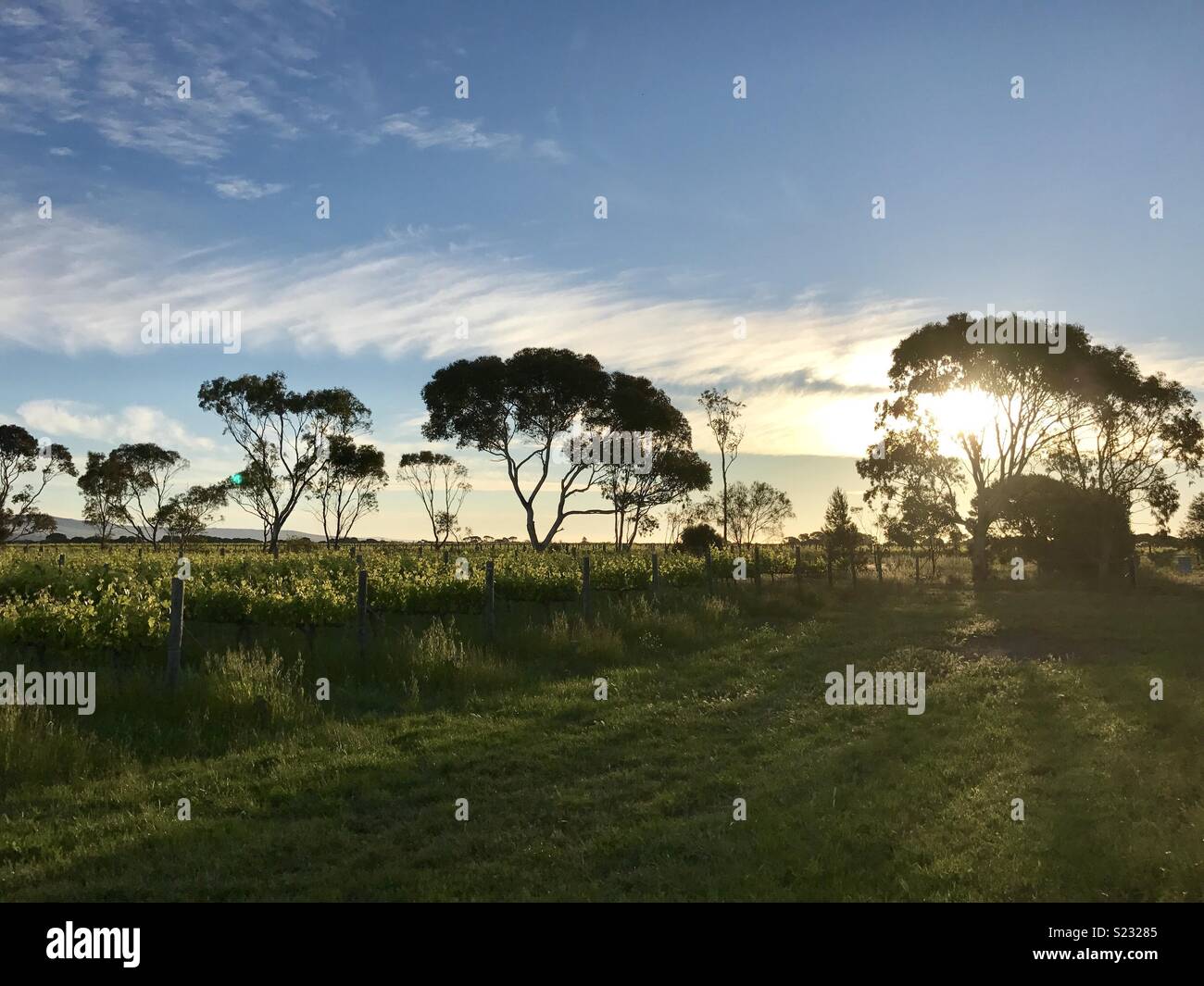 Sonnenuntergang im südlichen Australien Stockfoto