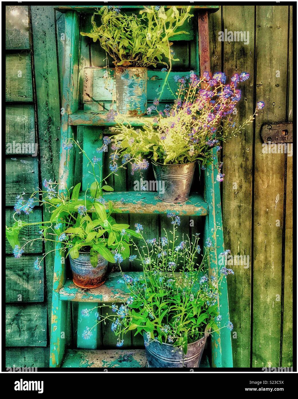 Golden Leder mit vergißmeinnicht Blumen Stockfoto