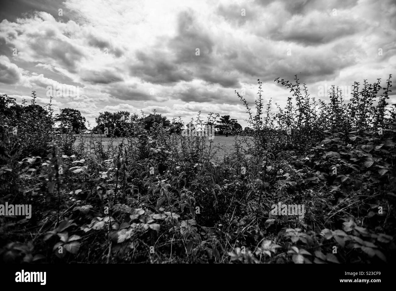 Feld anzeigen NW London Stockfoto