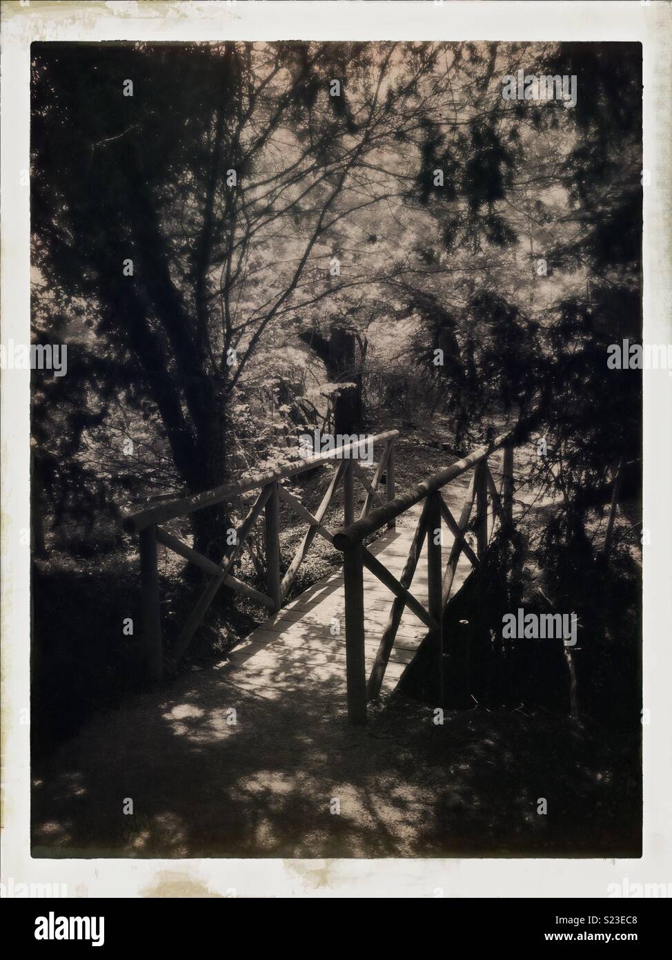 Brücke über den Bach in den Wald/Holz. Stockfoto