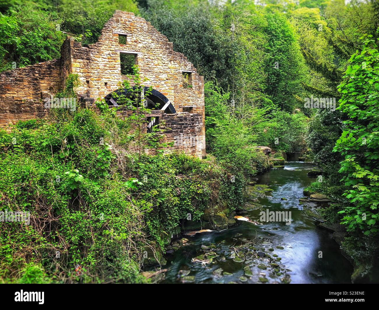 Alte Mühle - Jesmond Dene, Newcastle Stockfoto