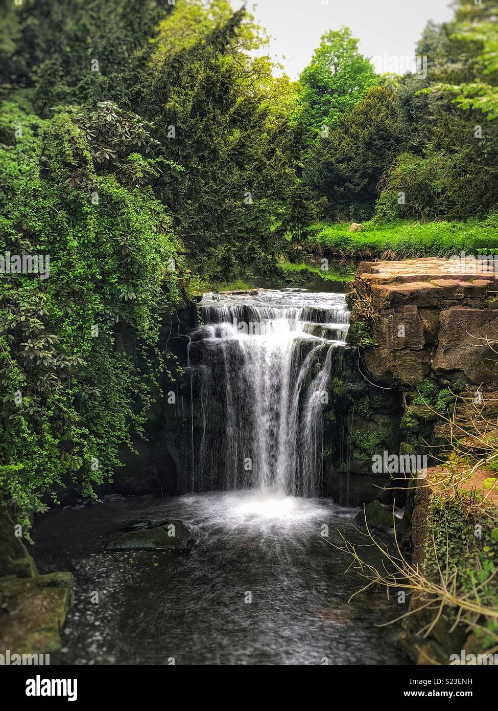 Jesmond Dene Wasserfall Stockfoto