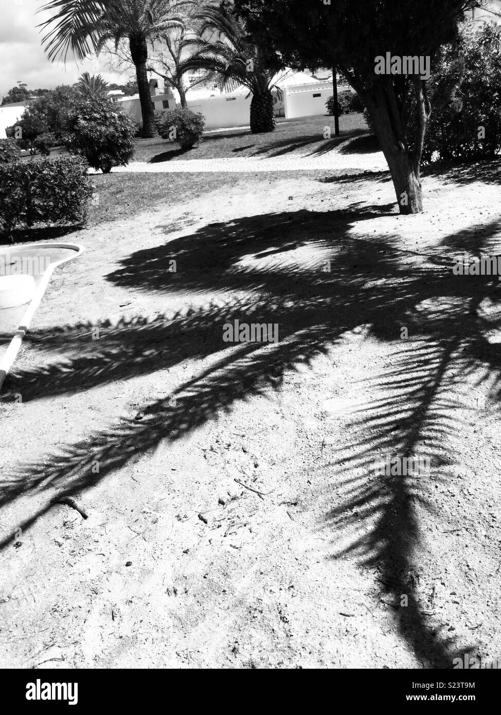 Palm Schatten Alvor Stockfoto