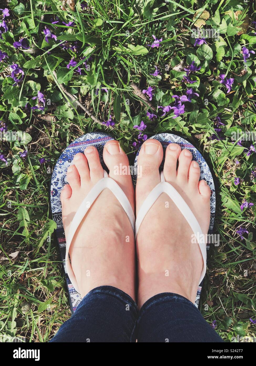 Füße tragen flip flop Sandalen im Gras mit lila Blüten Stockfoto