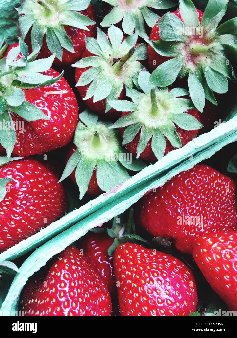Erdbeeren in Papier Schüssel Stockfoto