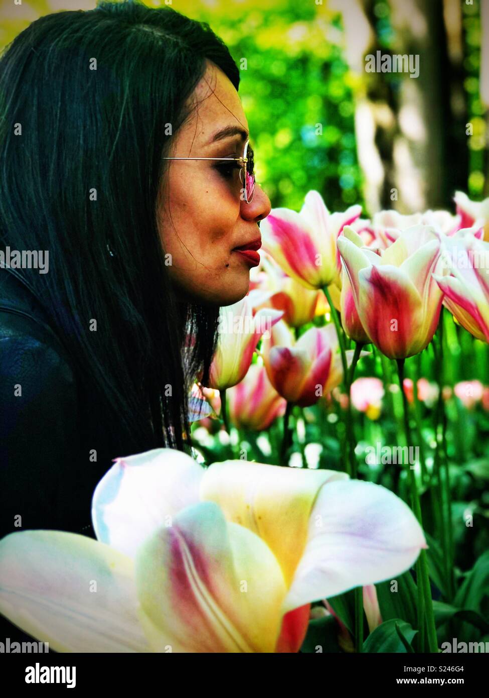 Eine Dame riechen Tulpen. - Smartphone-aufgenommenes Stockfoto