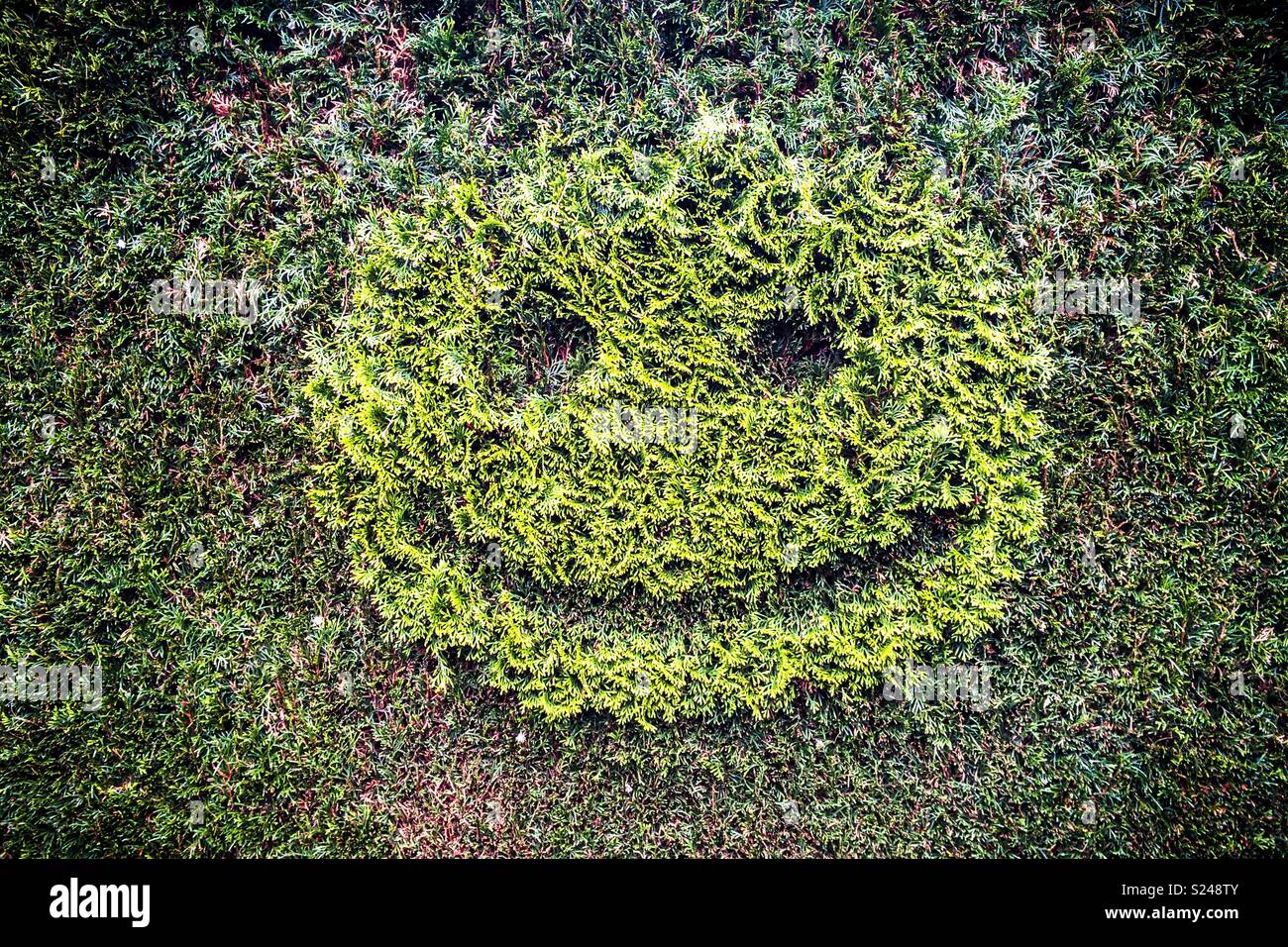 Grüne Emoticon Emoji Ausschneiden einer Hecke Stockfoto