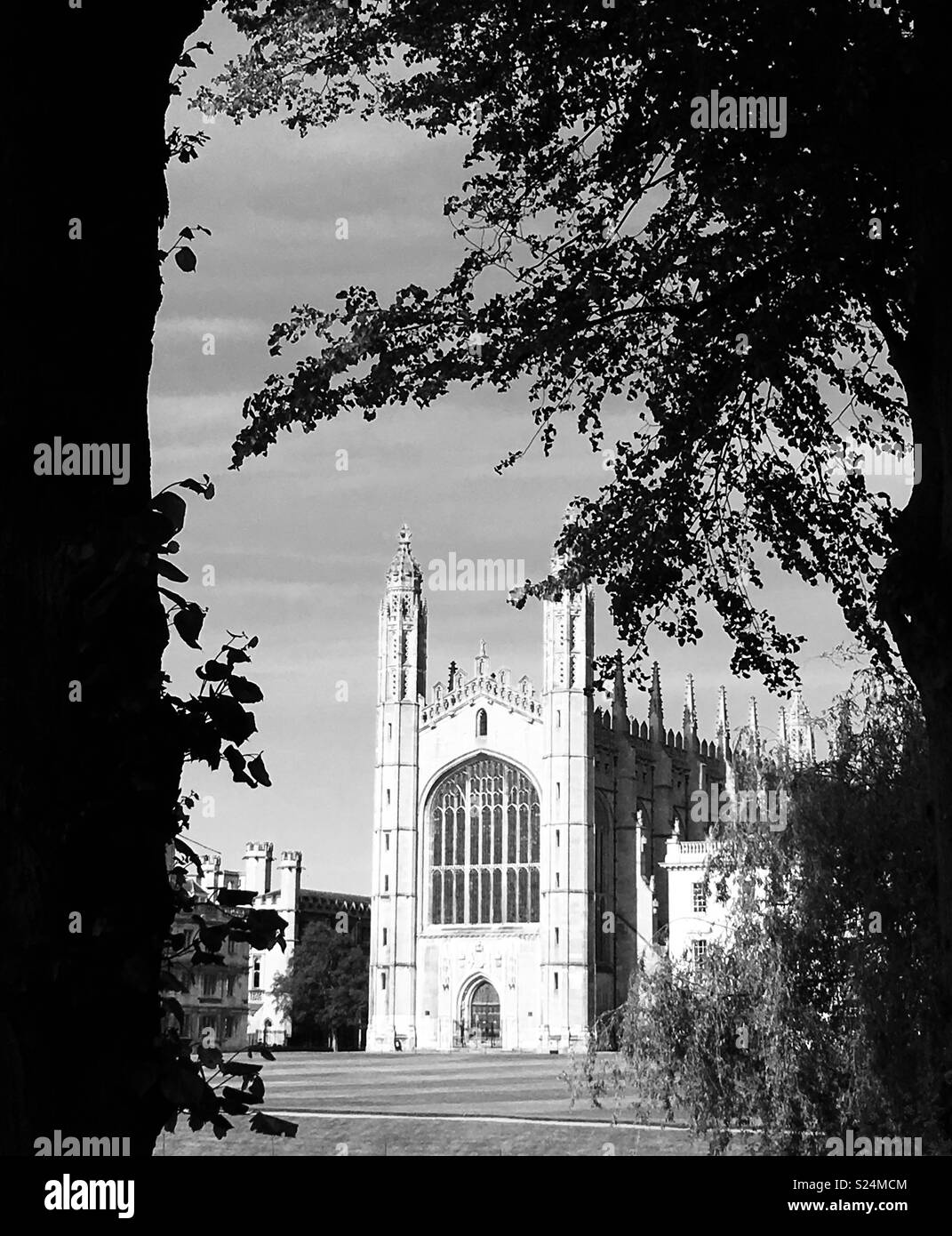 Abendsonne auf Kings College, Cambridge, England Stockfoto