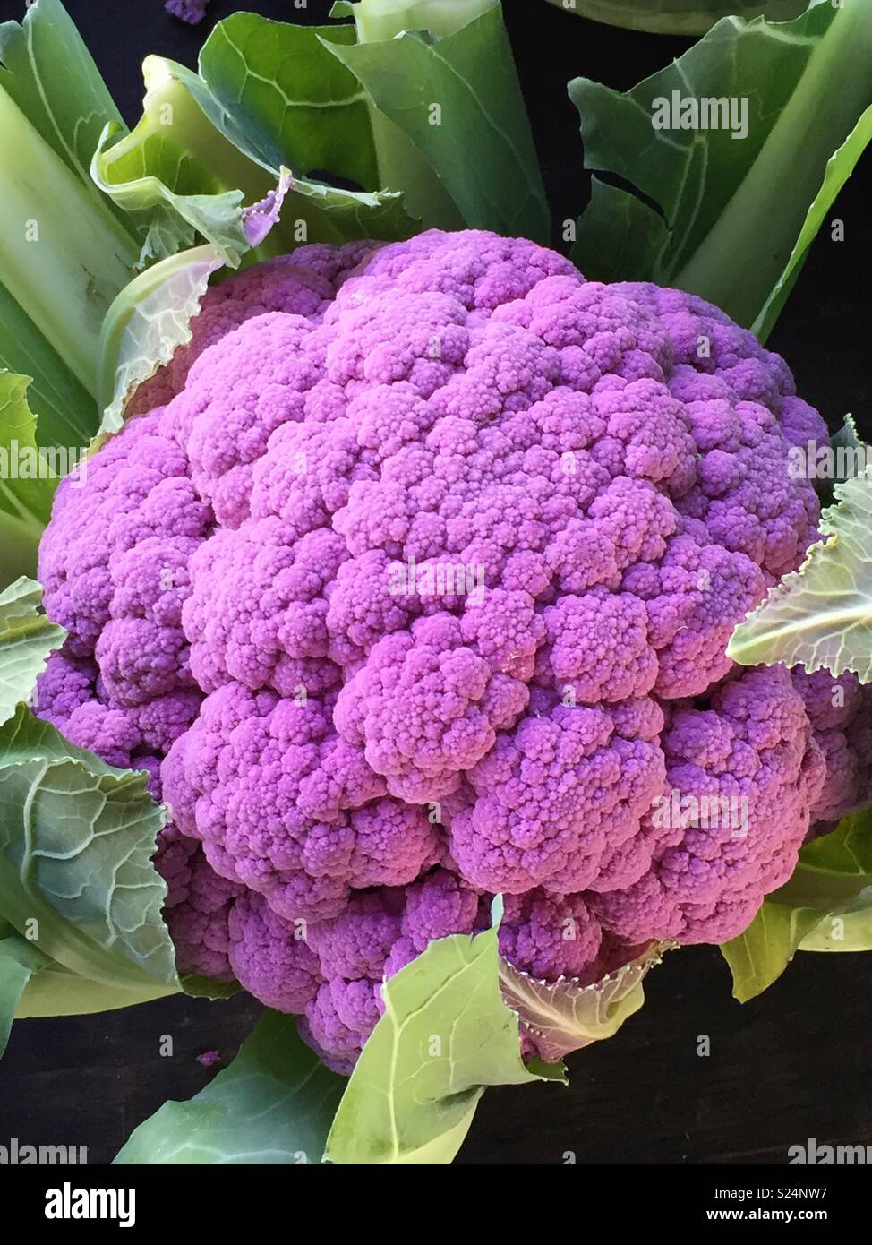 Brokkoli Sizilianisch - Rezepte Suchen