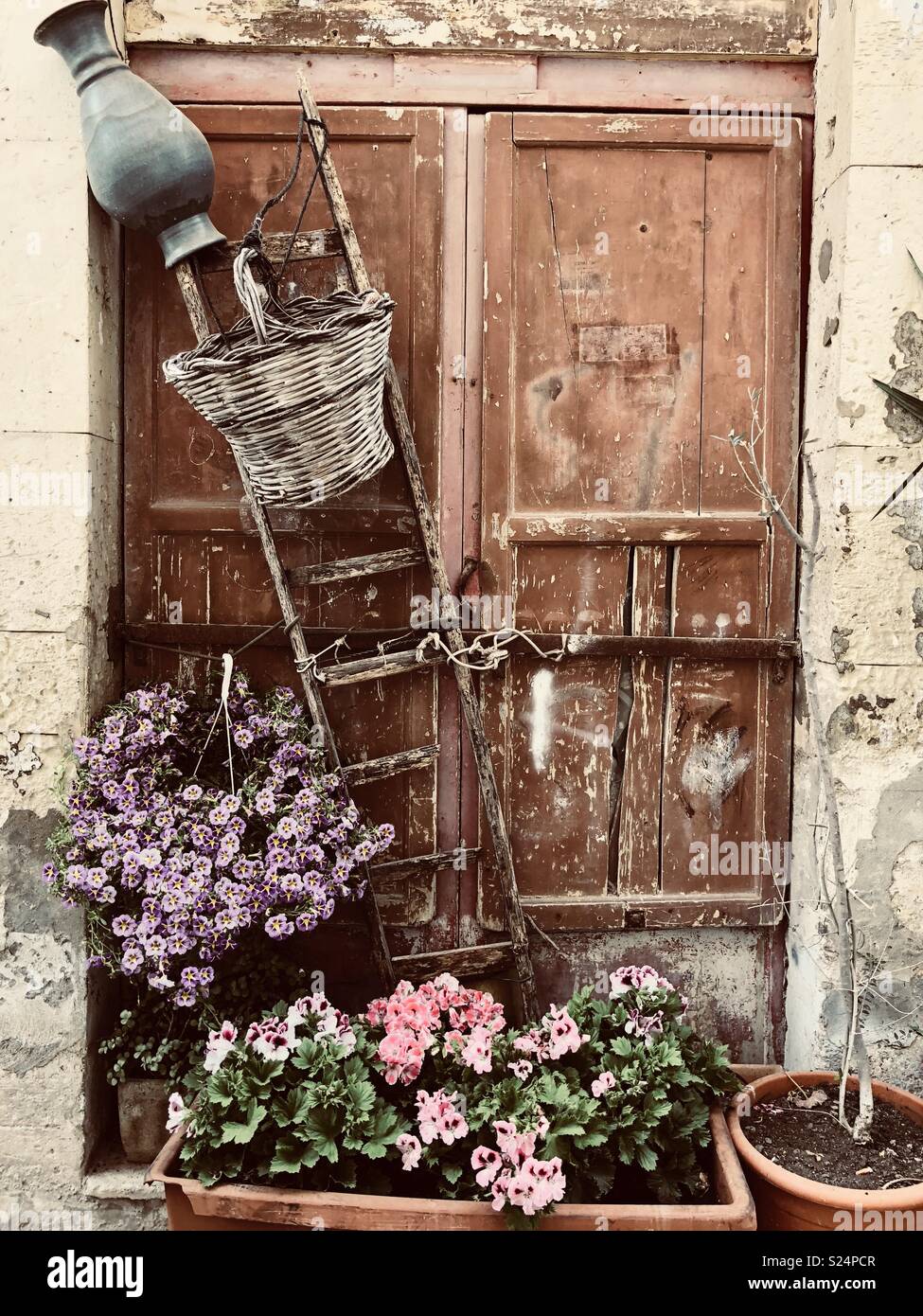 Blumentöpfe und alten Leiter, Ortygia, Syrakus, Sizilien, Italien. Stockfoto