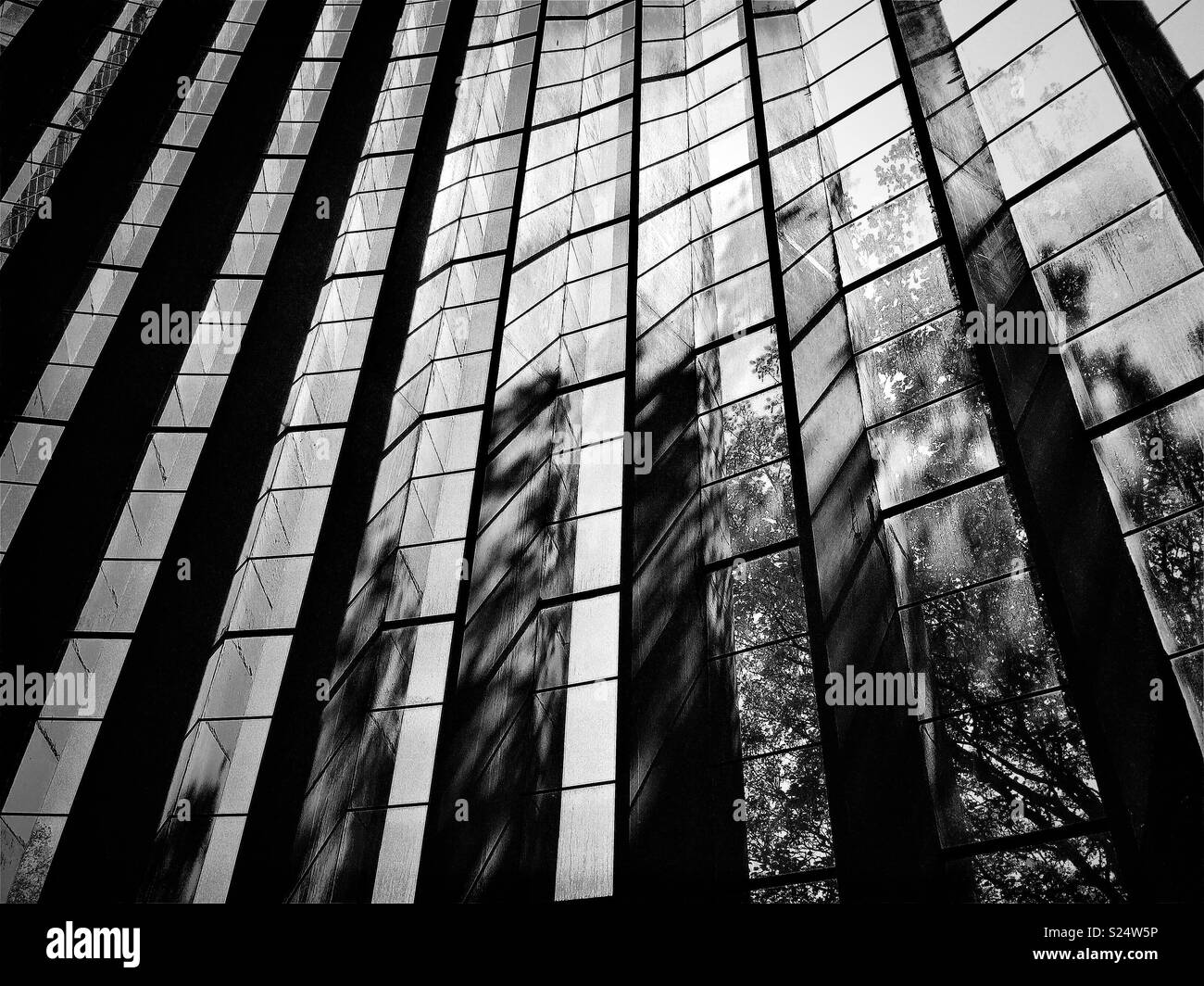 Muster der Fenster in der Kathedrale von Coventry Stockfoto