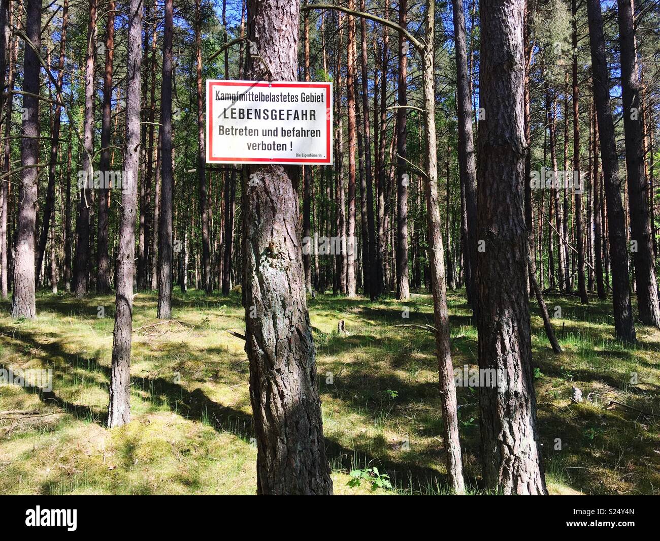 Ein deutscher Schild Warnung vor Eingabe eines Pinienwaldes, weil Lebensgefahr durch Kontamination mit Munition oder Waffen aus der militärischen Nutzung unter den Nazis, Mirow, Mecklenburg-Vorpommern, Deutschland links Stockfoto