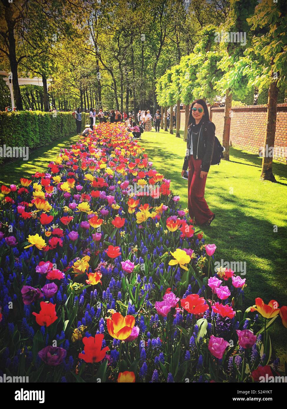 Eine Dame in einem Garten mit bunten Tulpen posieren. - Smartphone-aufgenommenes Stockfoto