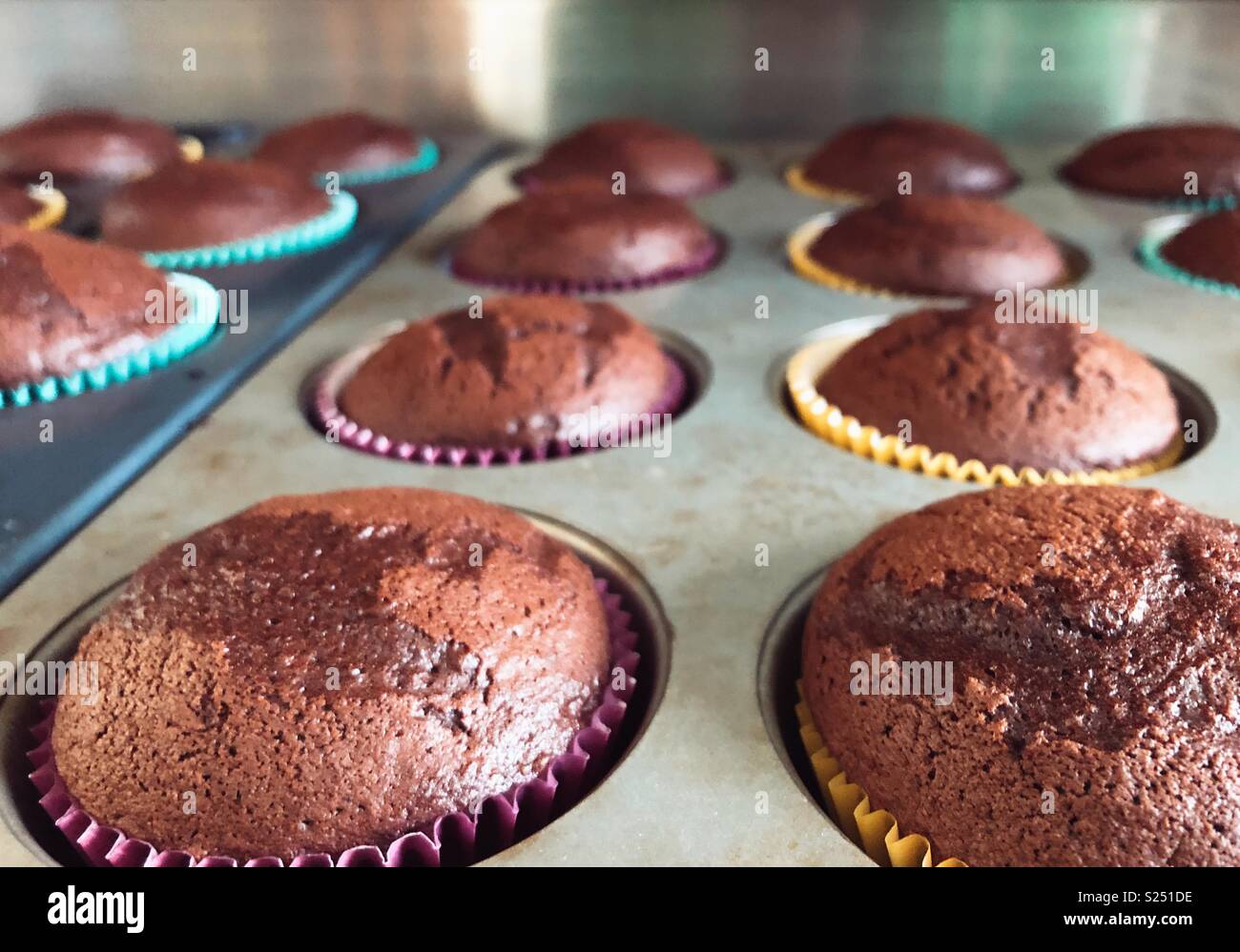 Frisch gebackenen chocolate Muffins mit hellen Liner in Metall muffin Fächer Stockfoto
