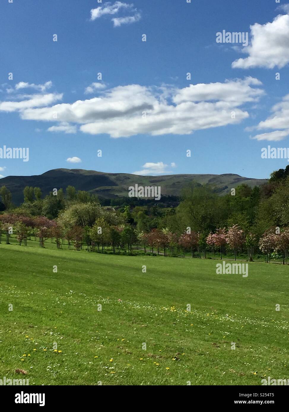 Braidburn Valley Park, Edinburgh, Schottland Stockfoto