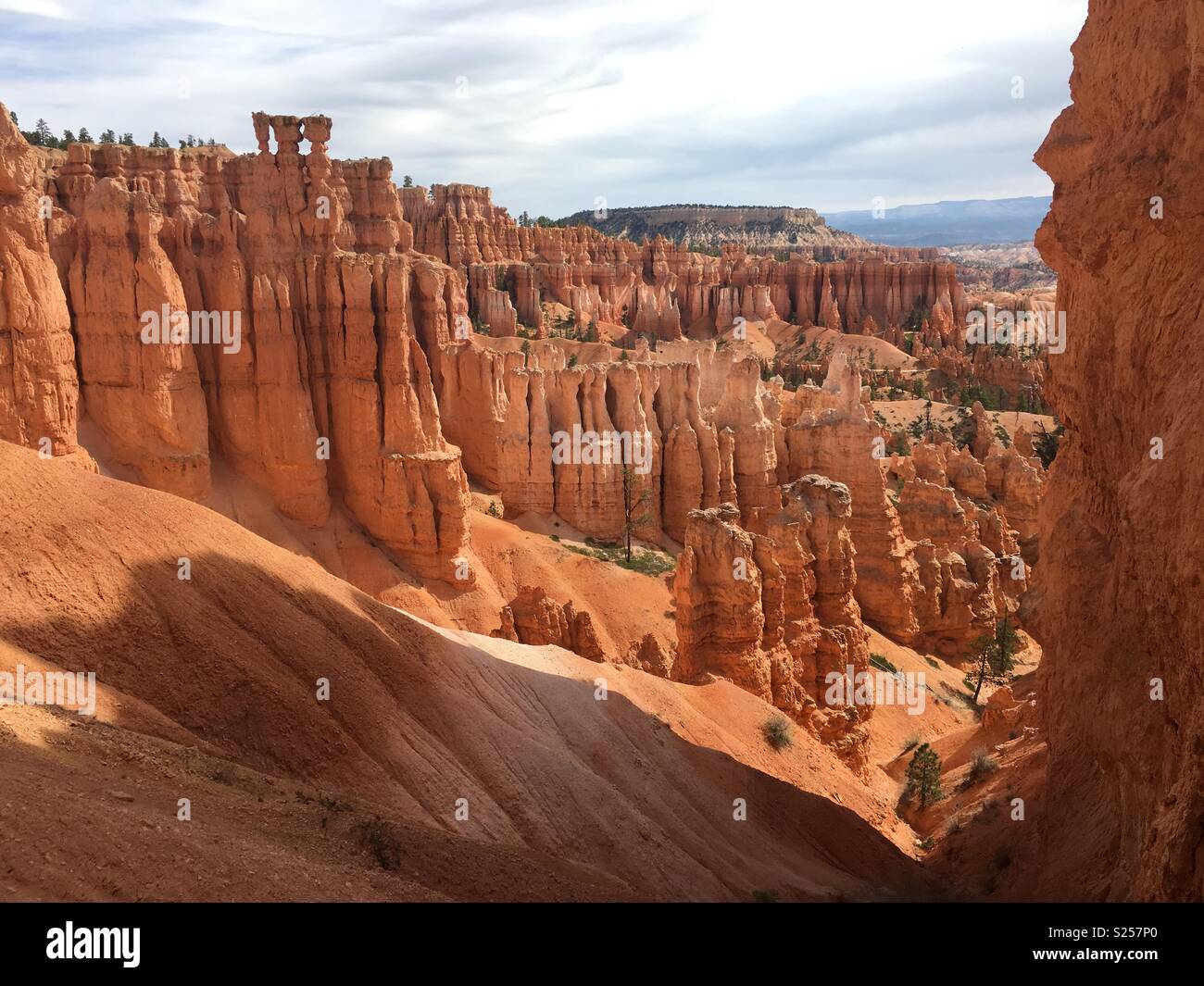 Brice canyon Stockfoto