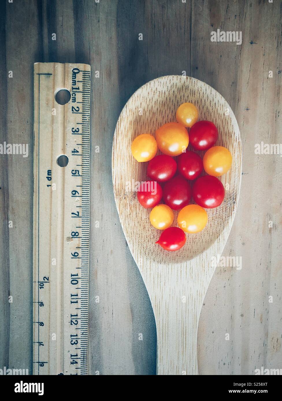 Rote und gelbe Tomberry Tomaten in einem Kochlöffel neben einem Herrscher ihre geringe Größe zu veranschaulichen - Smartphone-aufgenommenes Stockfoto