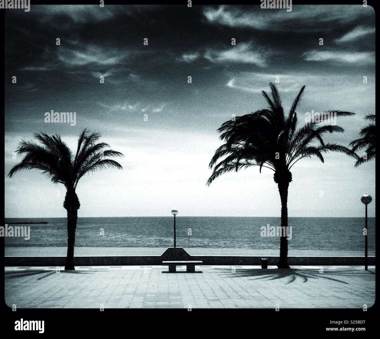 Palmen und Meer in L'Hospitalet de l'Infant, Katalonien, Spanien. - Smartphone-aufgenommenes Stockfoto