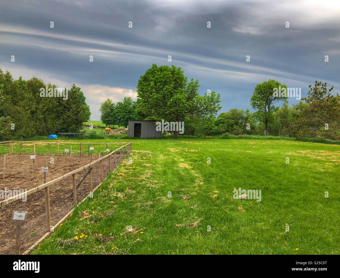 Shelf cloud über Himmel im Garten Hintergrund als Sturm Rollen in Stockfoto