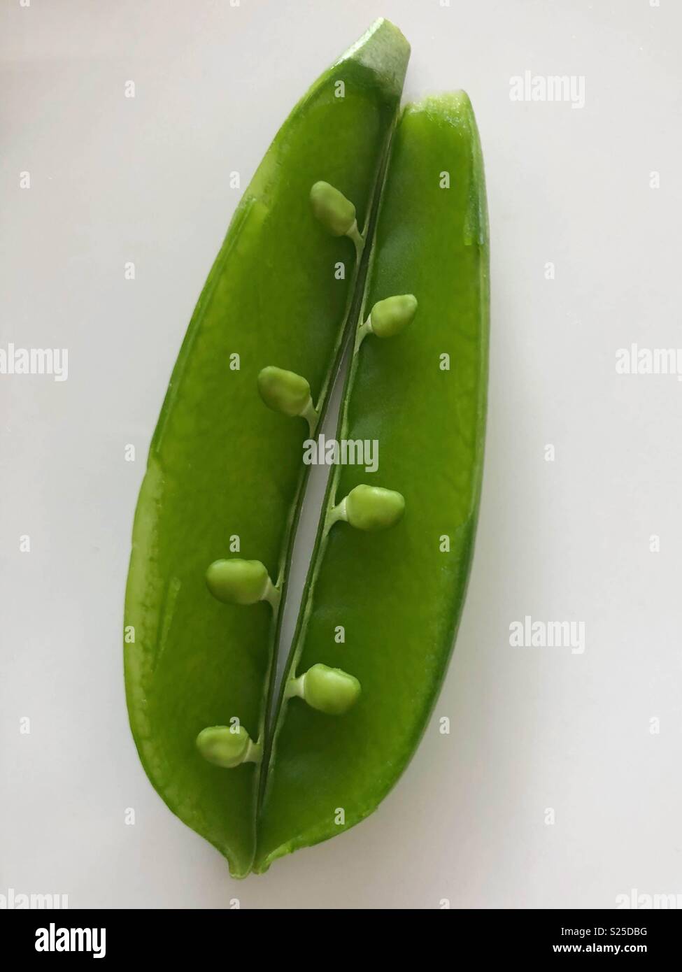 Innerhalb von Snow pea - Smartphone-aufgenommenes Stockfoto