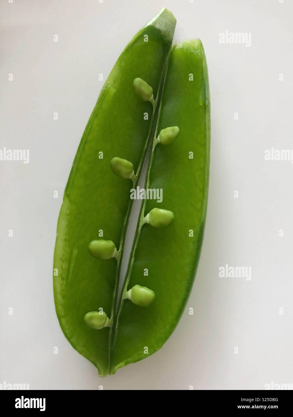 Innerhalb von Snow pea Stockfoto